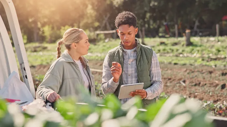Farming, tablet and delivery with people and truck for vegetable checklist, crops supply chain and inspection. Logistics, agriculture and harvest with farmers in countryside for sustainability